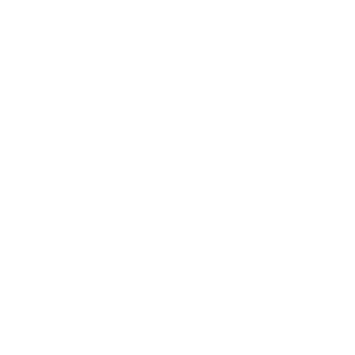 Automotive Aftermarket